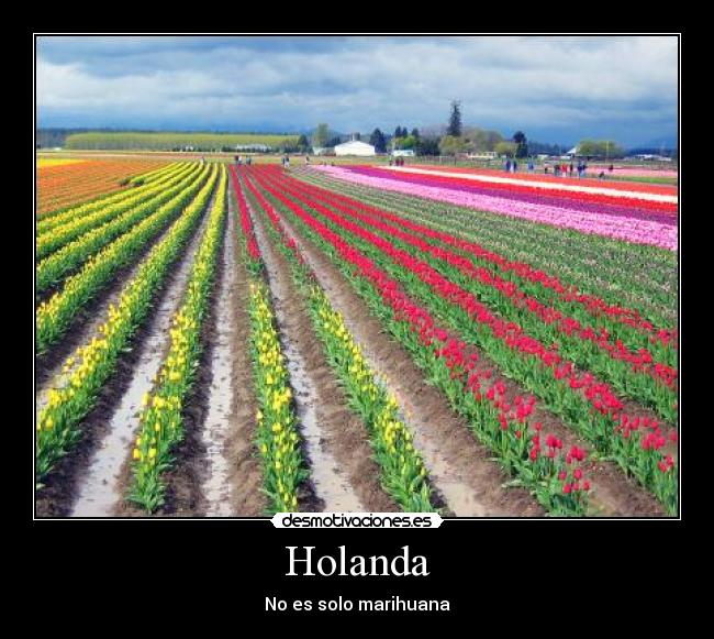 Holanda - 