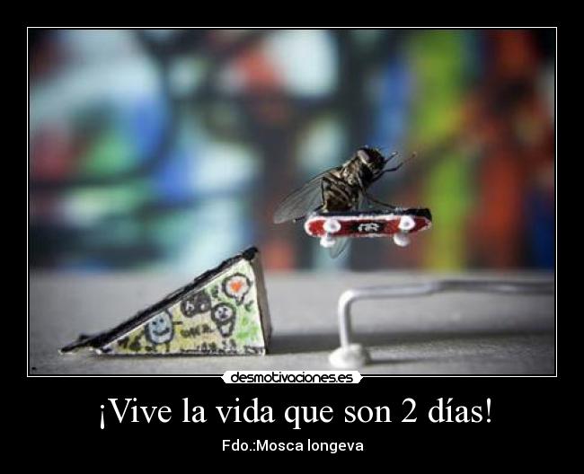 ¡Vive la vida que son 2 días! -