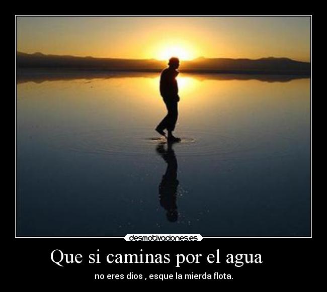 Que si caminas por el agua - no eres dios , esque la mierda flota.