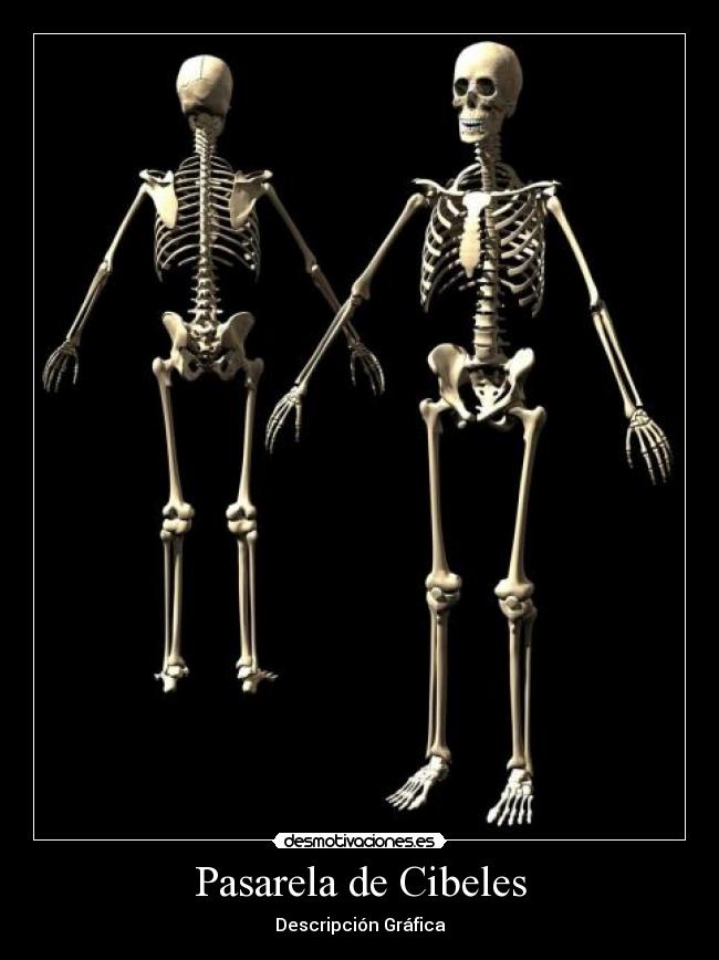 Pasarela de Cibeles -