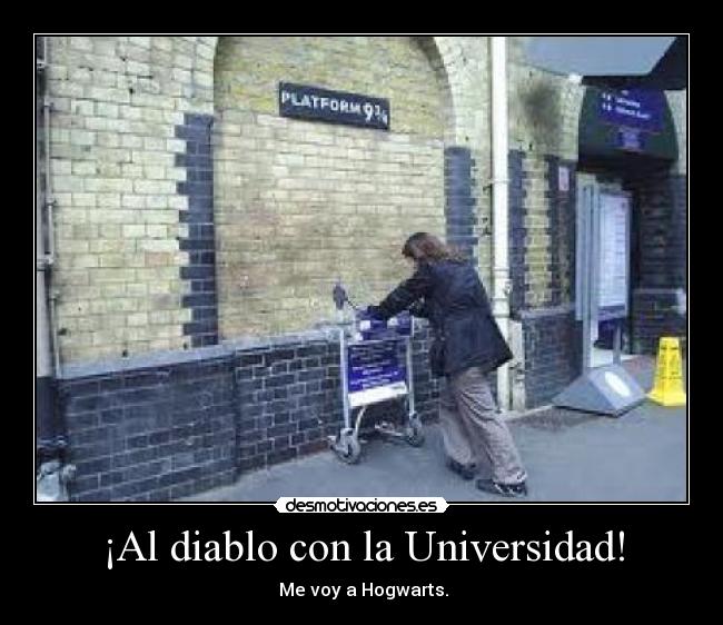 ¡Al diablo con la Universidad! - Me voy a Hogwarts.