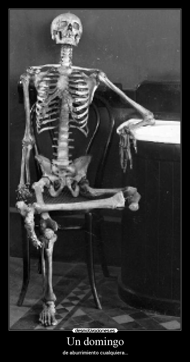 fotos de calaveras esperando fotos de calaveras esperando im 225 genes