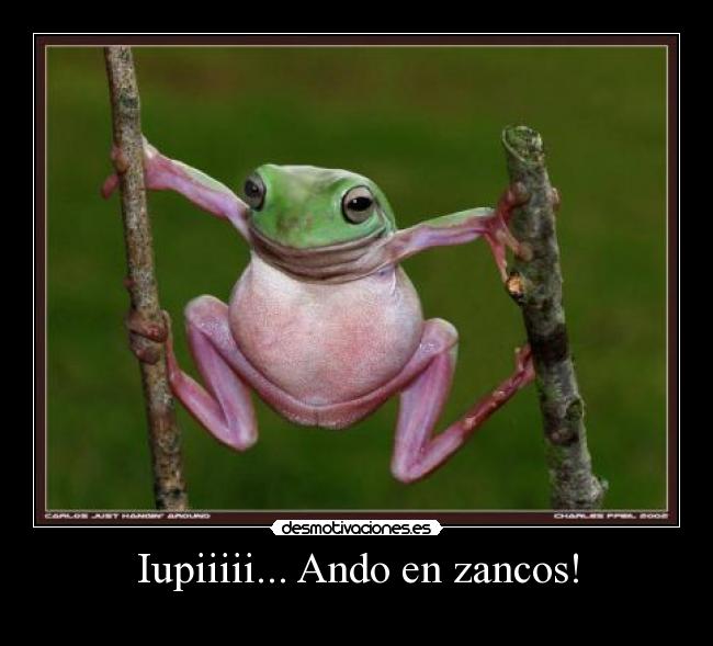 Iupiiiii... Ando en zancos! - 