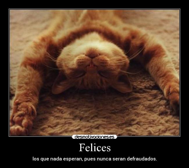 Felices -