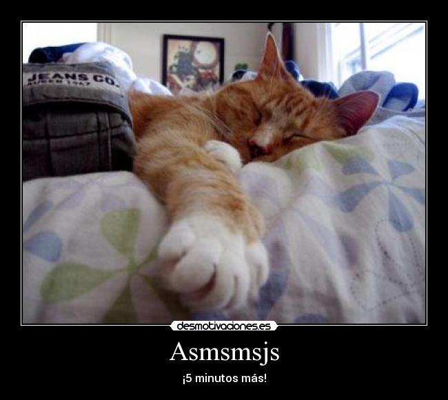 Asmsmsjs - ¡5 minutos más!
