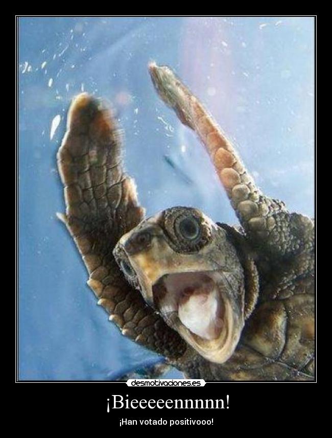 ¡Bieeeeennnnn! - 