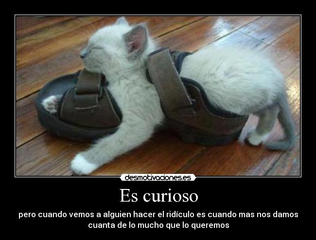 Es curioso - pero cuando vemos a alguien hacer el ridículo es cuando mas nos damos
cuanta de lo mucho que lo queremos