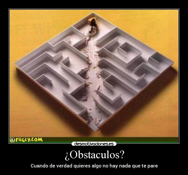 ¿Obstaculos? - Cuando de verdad quieres algo no hay nada que te pare