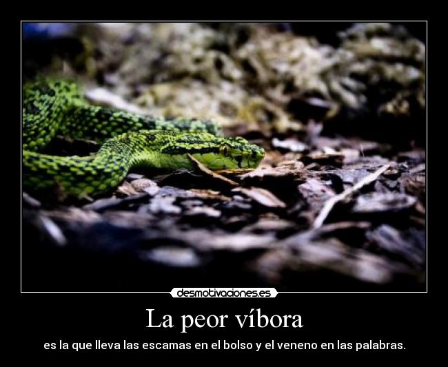La peor víbora - 