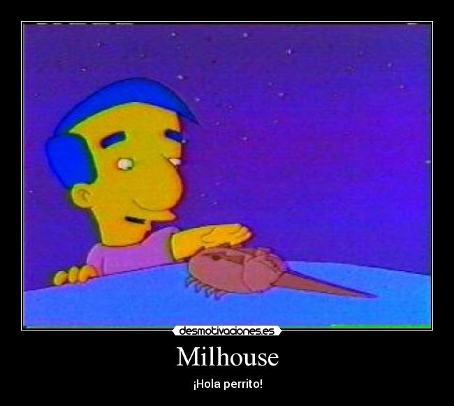 Milhouse -
