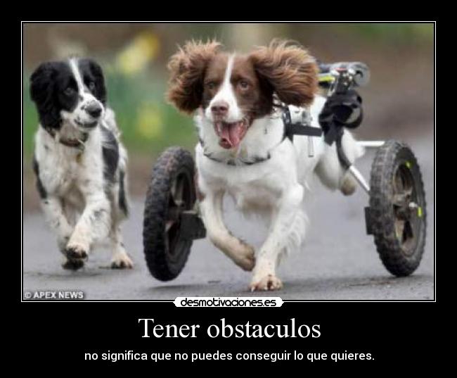 Tener obstaculos - no significa que no puedes conseguir lo que quieres.