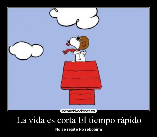 La vida es corta El tiempo rápido -