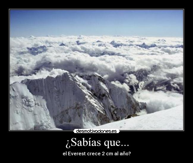 carteles leckram desmotivaciones