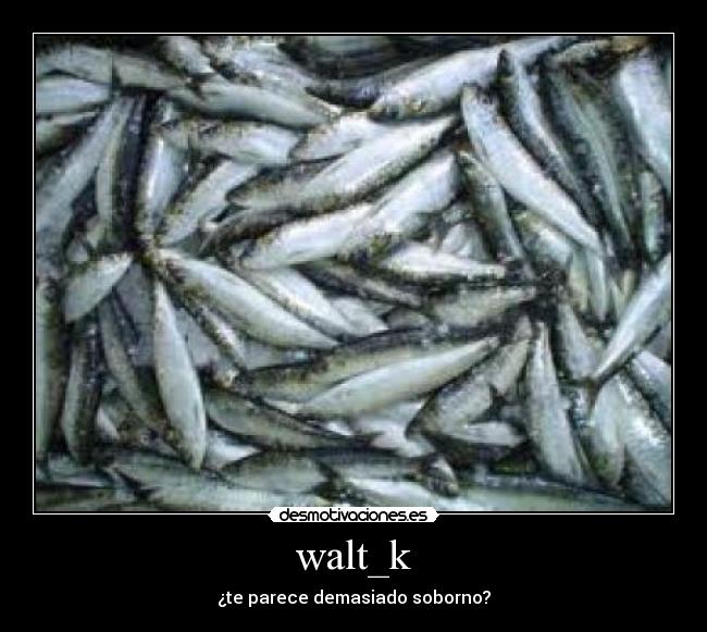 walt_k - ¿te parece demasiado soborno?