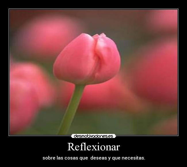 Reflexionar - sobre las cosas que deseas y que necesitas.