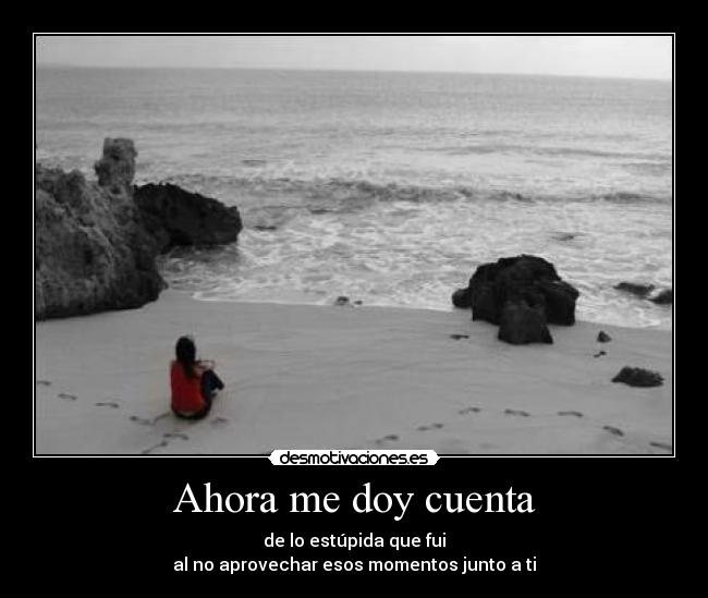 Ahora me doy cuenta - de lo estúpida que fui
al no aprovechar esos momentos junto a ti