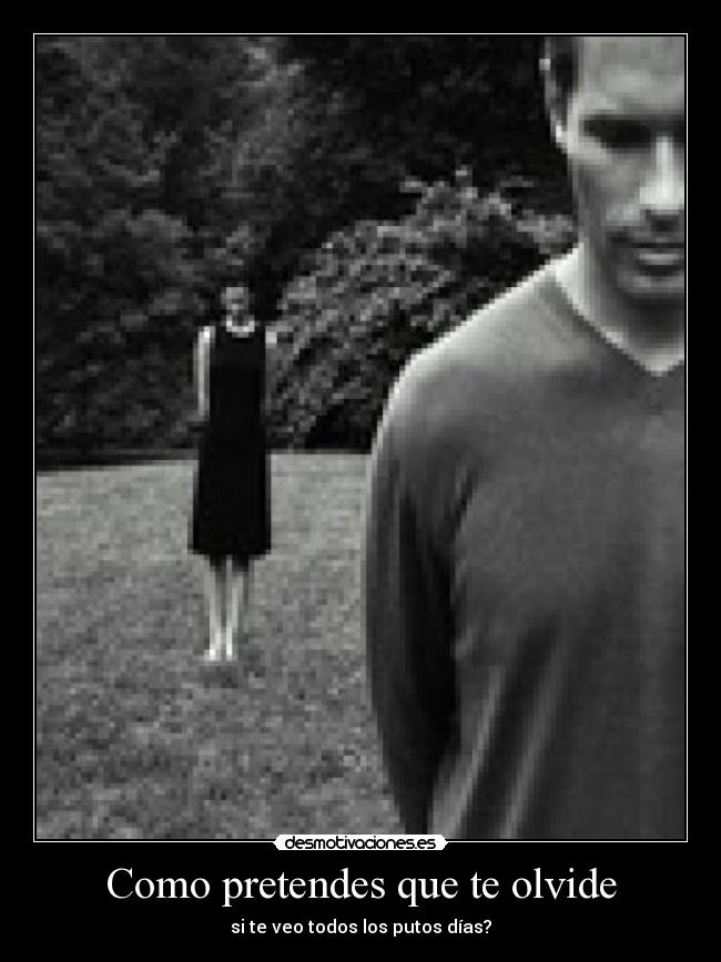 Como pretendes que te olvide - si te veo todos los putos días?