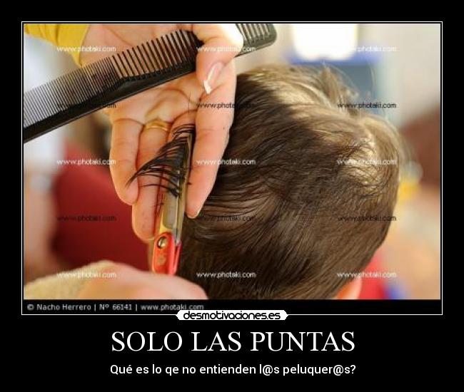 SOLO LAS PUNTAS -