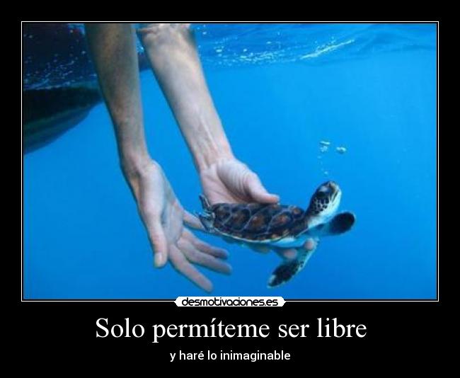 Solo permíteme ser libre - y haré lo inimaginable