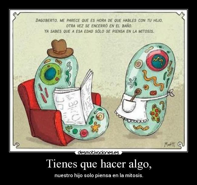 carteles mitosis desmotivaciones