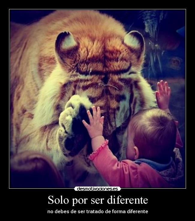 Solo por ser diferente - no debes de ser tratado de forma diferente