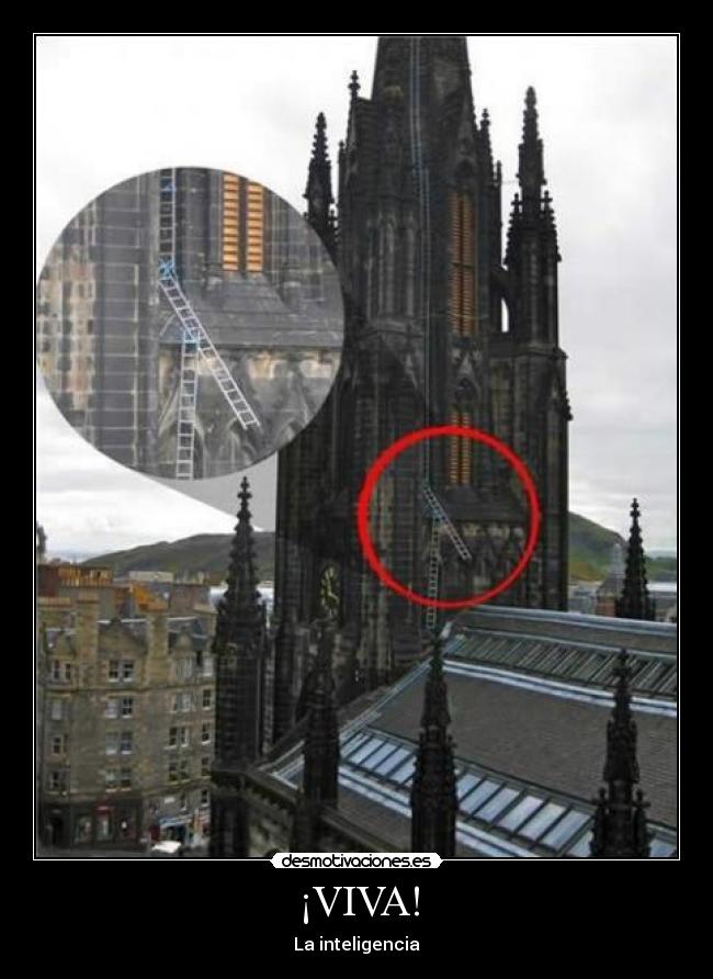 ¡VIVA! - La inteligencia