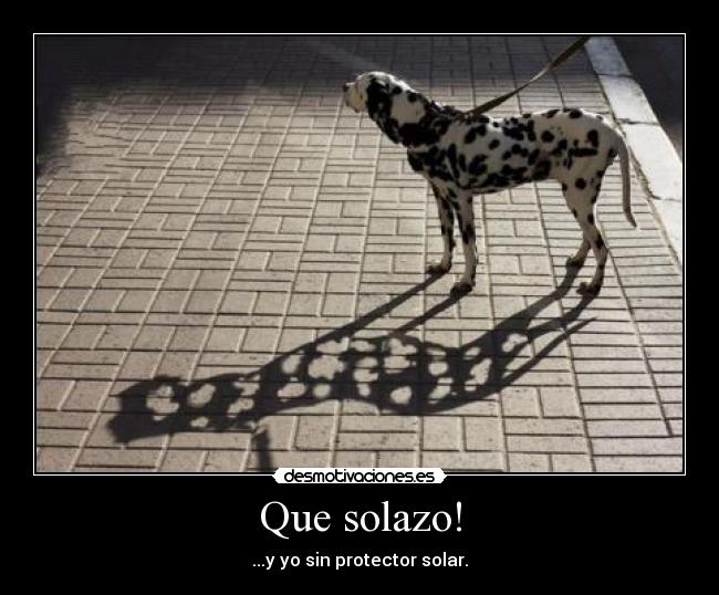 Que solazo! - ...y yo sin protector solar.