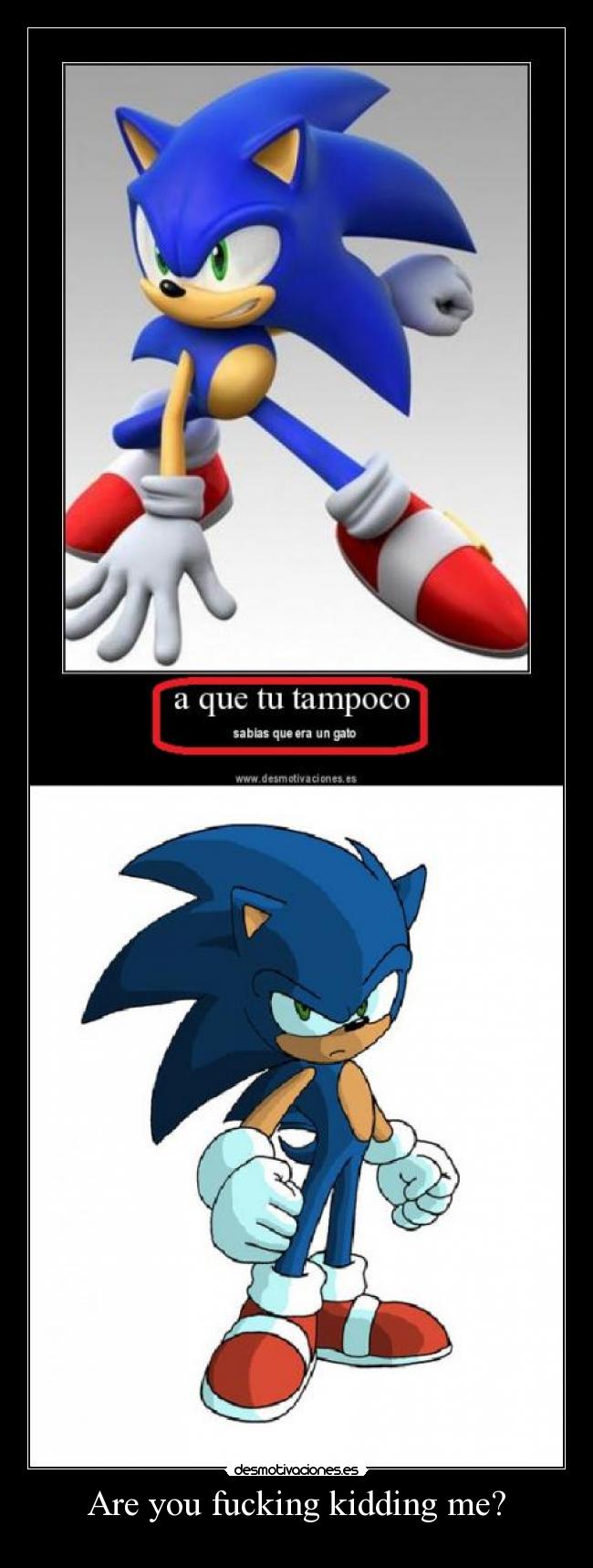 Are you fucking kidding me? -