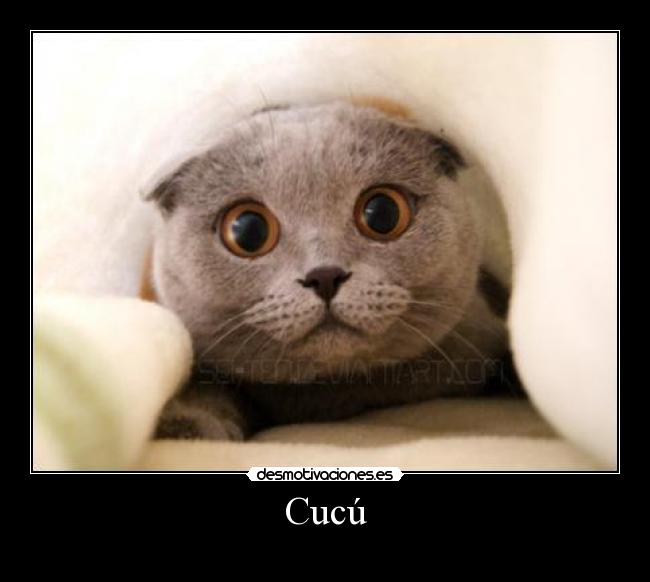 Cucú - 