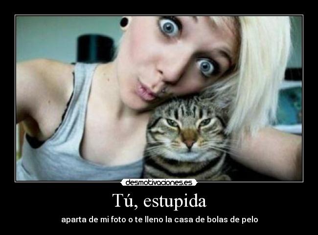 Tú, estupida - aparta de mi foto o te lleno la casa de bolas de pelo