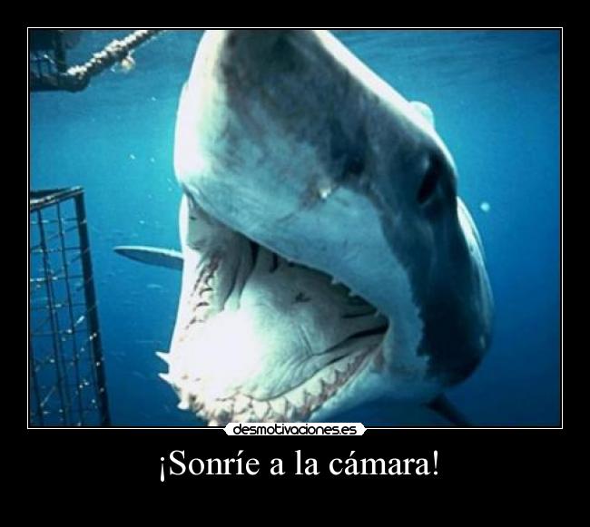 ¡Sonríe a la cámara! -