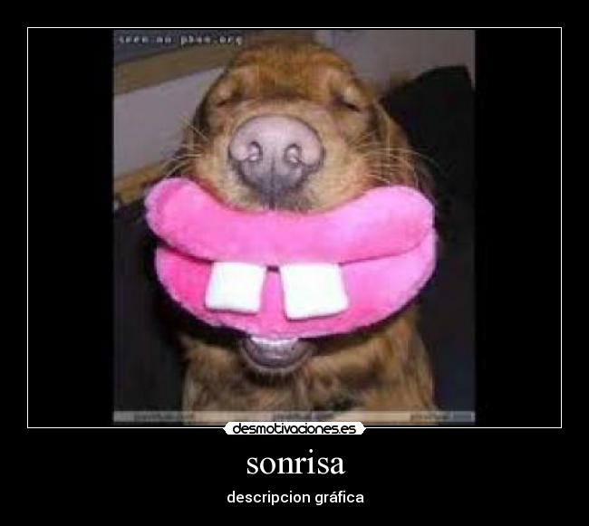 sonrisa - descripcion gráfica