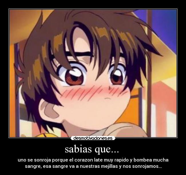 sabias que... -