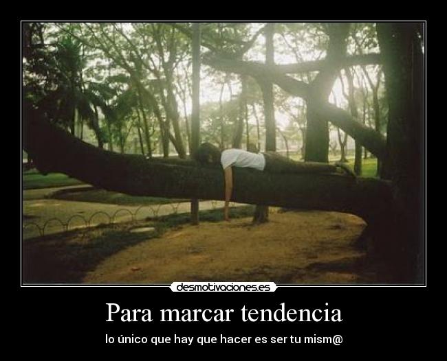 Para marcar tendencia -