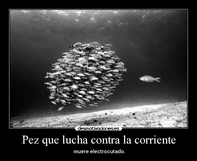 Pez que lucha contra la corriente -
