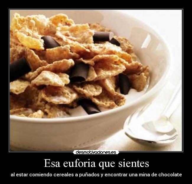 Esa euforia que sientes -