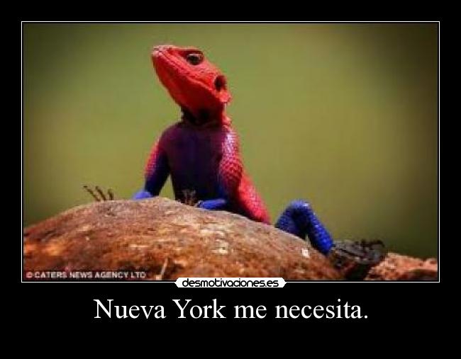 Nueva York me necesita. - 