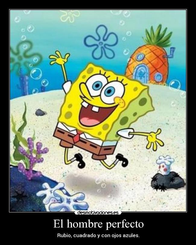 El hombre perfecto -