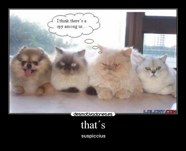 carteles thats desmotivaciones