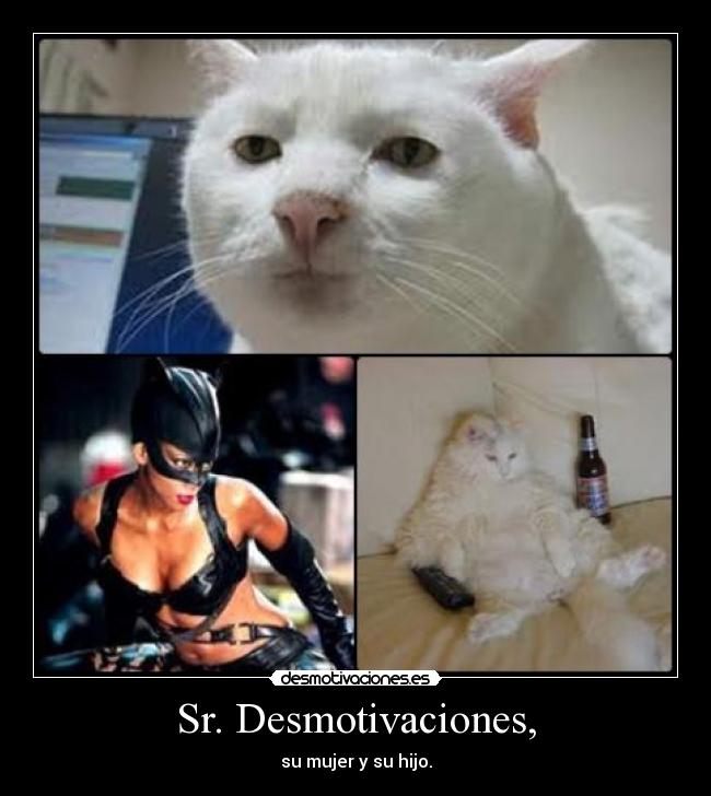 Sr. Desmotivaciones, -