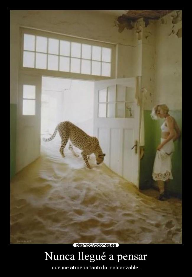 Nunca llegué a pensar - 