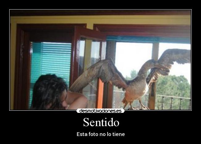Sentido - Esta foto no lo tiene