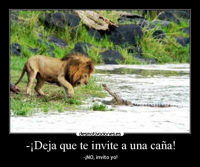 -¡Deja que te invite a una caña! - -¡NO, invito yo!