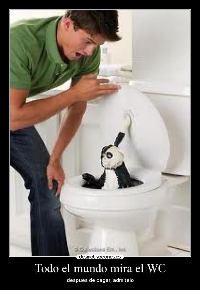 Todo el mundo mira el WC - despues de cagar, admitelo