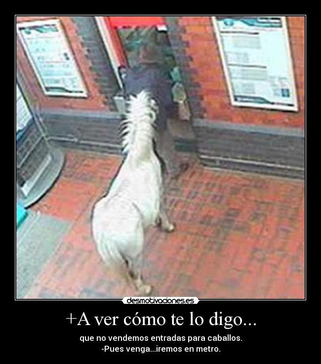 carteles caballo desmotivaciones