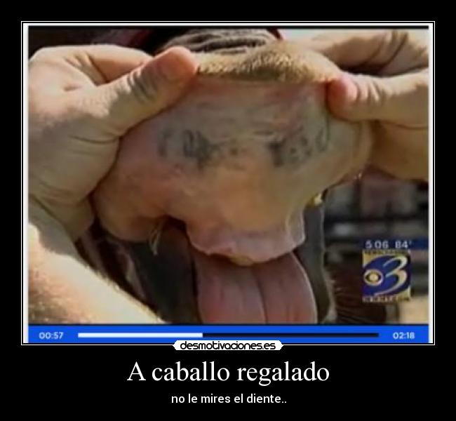 A caballo regalado - no le mires el diente..