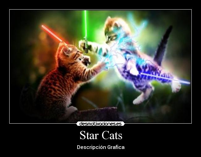 Star Cats - 