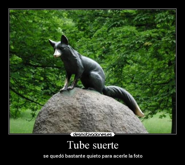 Tube suerte - se quedó bastante quieto para acerle la foto
