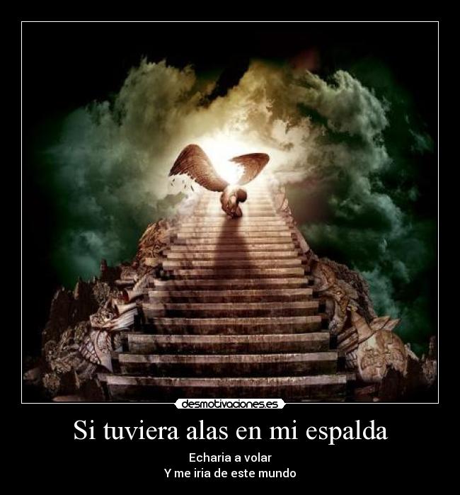 carteles led zeppelin starway heaven angel volar irse este mundo desmotivaciones