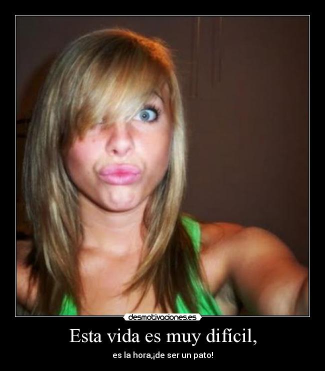 Esta vida es muy difícil, - es la hora,¡de ser un pato!